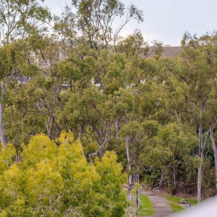 Photo of Others in Mitchelton