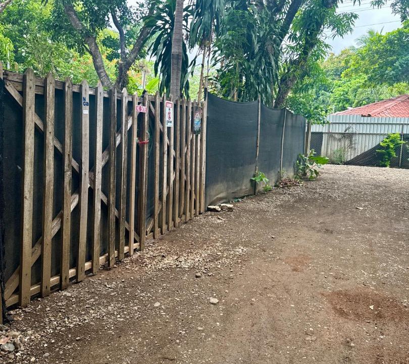 Photo of Others in Nosara