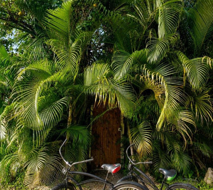 Photo of Others in Cocles