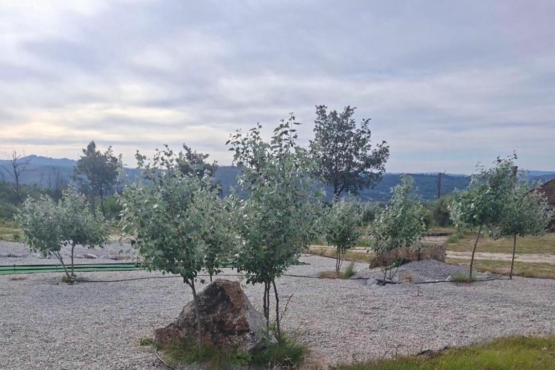 Photo of Outdoor in Guarda