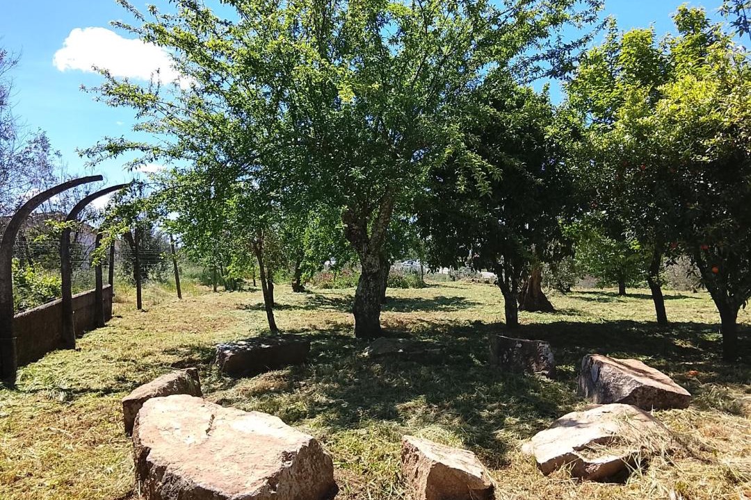 Photo of Outdoor in Pedrogao Pequeno