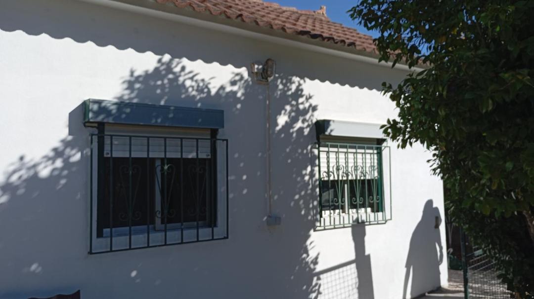 Photo of Others in Pedrogao Pequeno