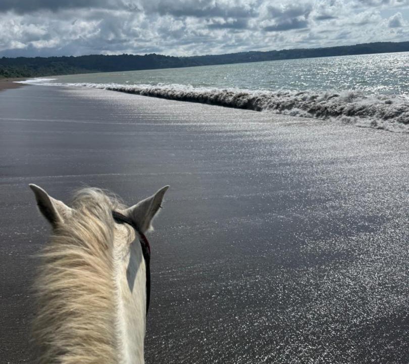 Photo of Others in Drake Bay