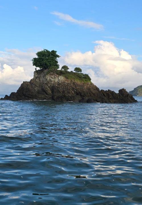 Photo of Others in Drake Bay