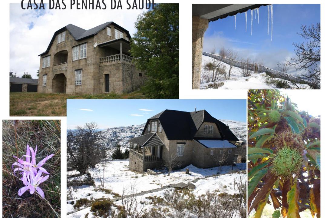 Photo of Others in Penhas da Saude