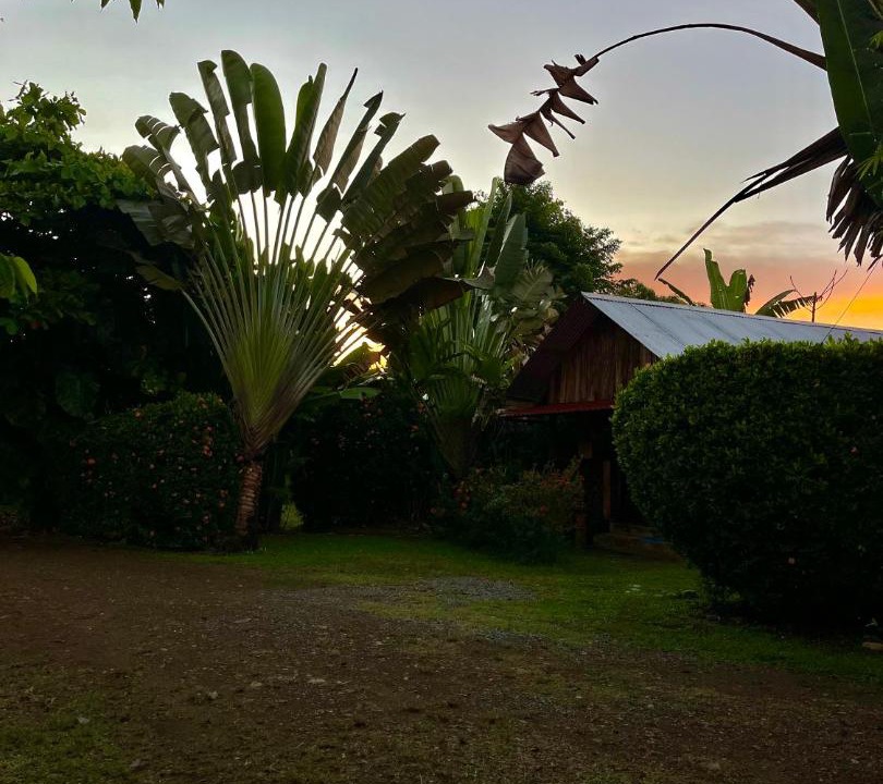 Photo of Others in Uvita
