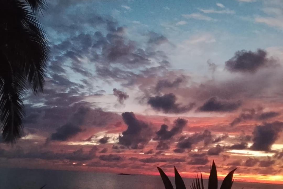 Photo of Others in Drake Bay