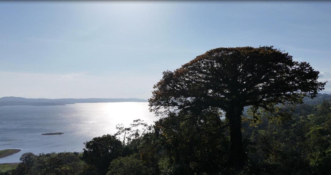 Photo of Others in Arenal
