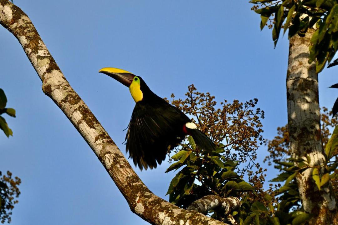 Photo of Others in Arenal