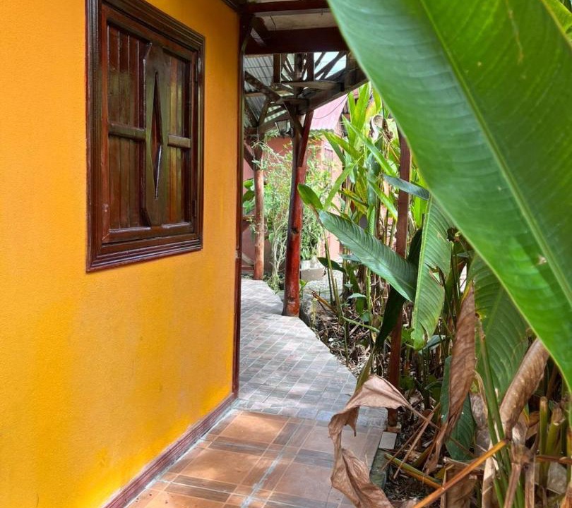 Photo of Others in Puerto Viejo de Talamanca