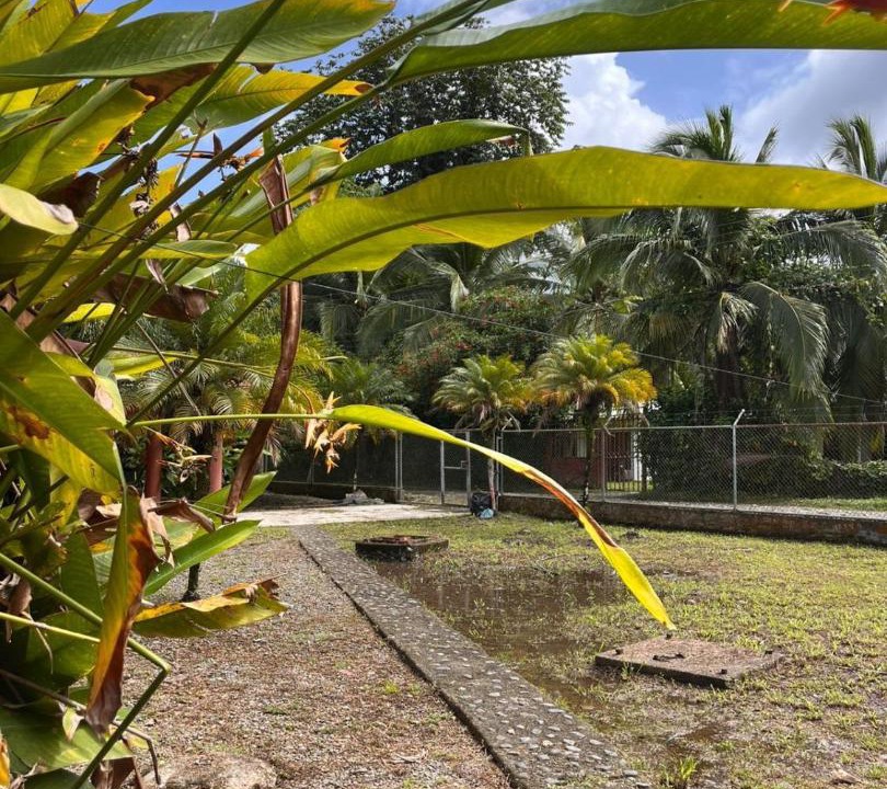 Photo of Others in Puerto Viejo de Talamanca