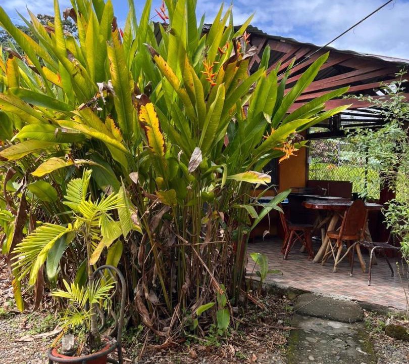 Photo of Others in Puerto Viejo de Talamanca