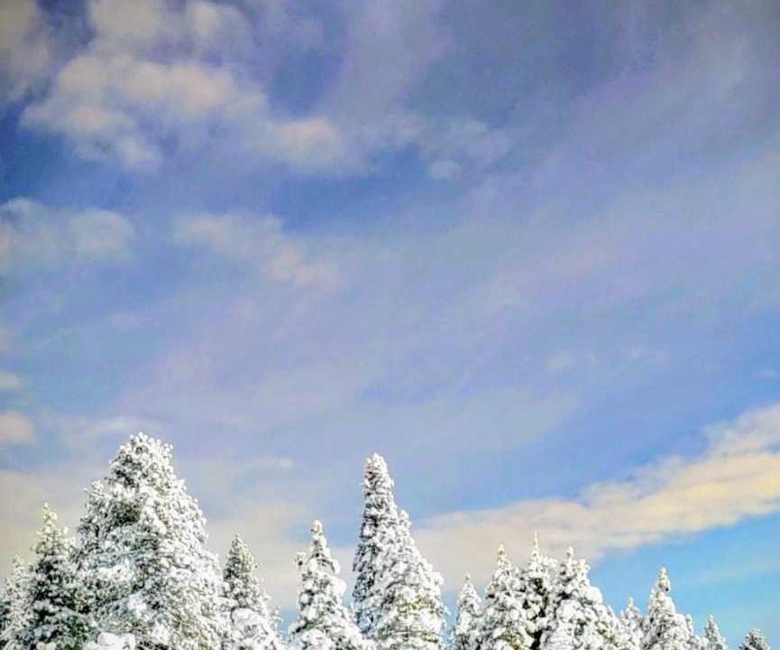 Photo of Others in Bear Valley