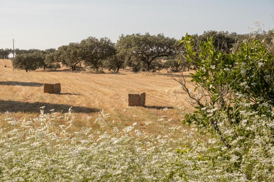 Photo of Others in Montes Juntos