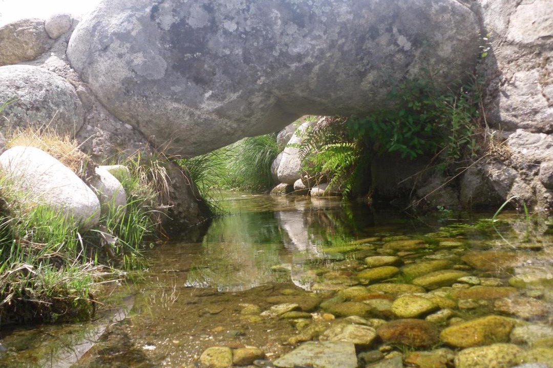 Photo of Others in Unhais da Serra
