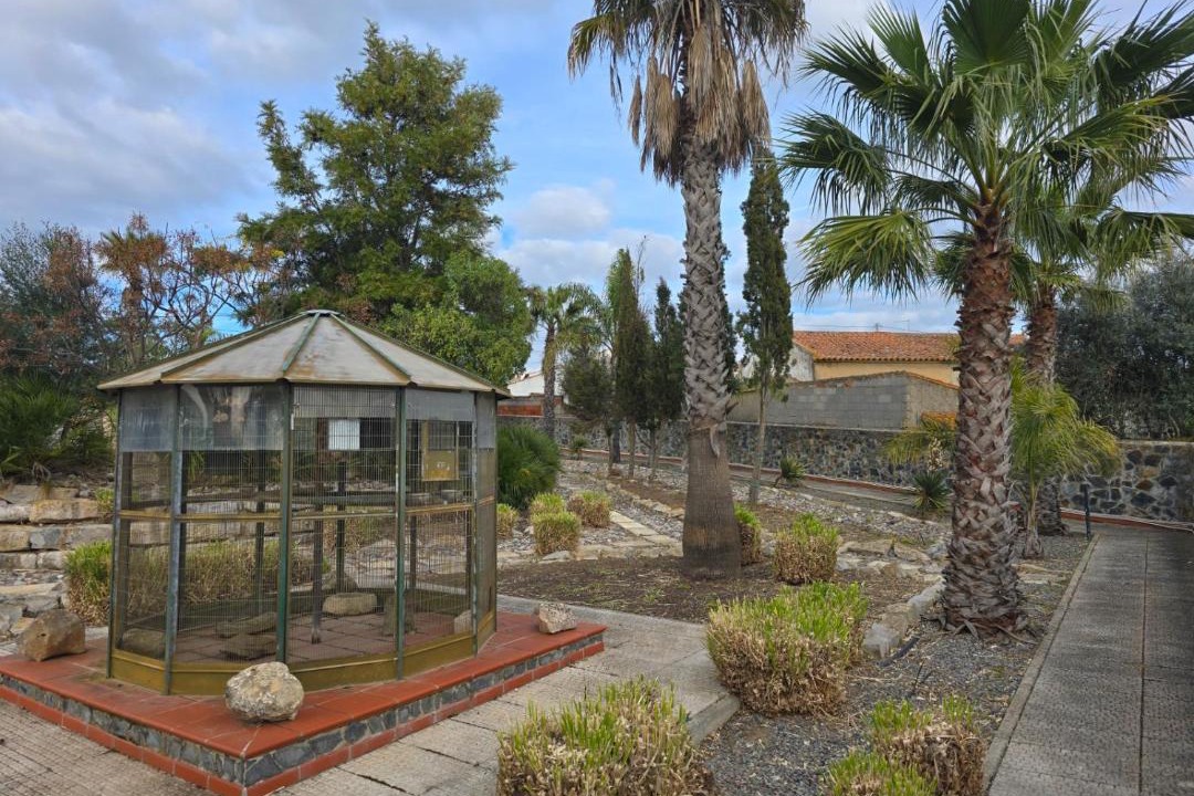 Photo of Others in Sao Pedro de Solis