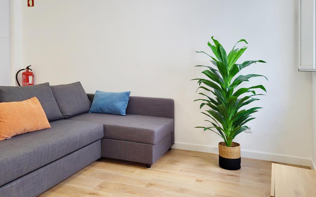 Photo of Livingroom in Elvas
