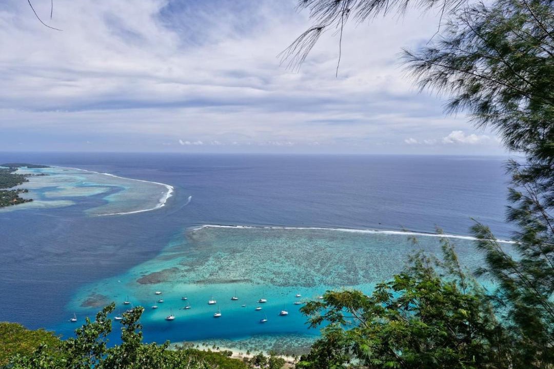 Photo of Others in Pihaena
