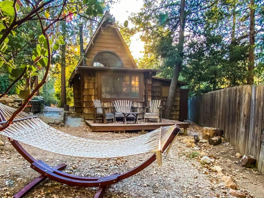 Photo of Others in Idyllwild