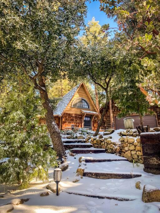 Photo of Others in Idyllwild