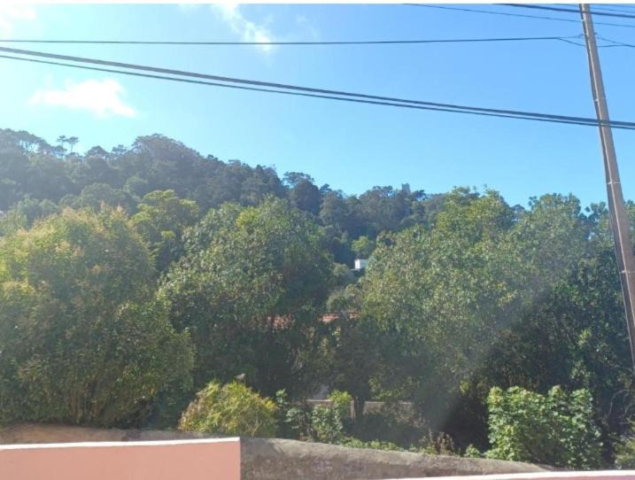 Photo of Others in Sintra