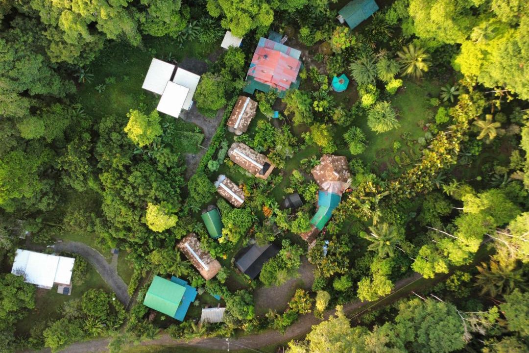 Photo of Others in Cahuita