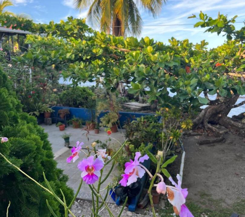 Photo of Others in Cahuita