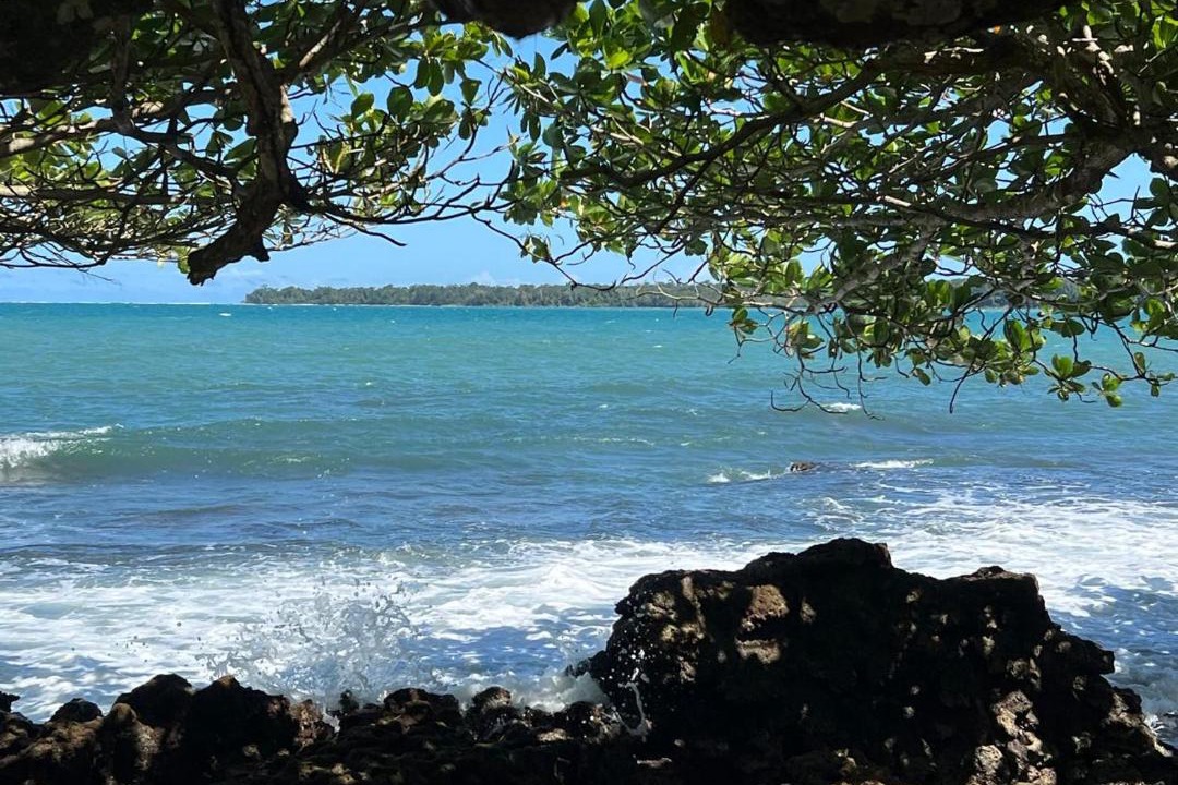 Photo of Others in Cahuita