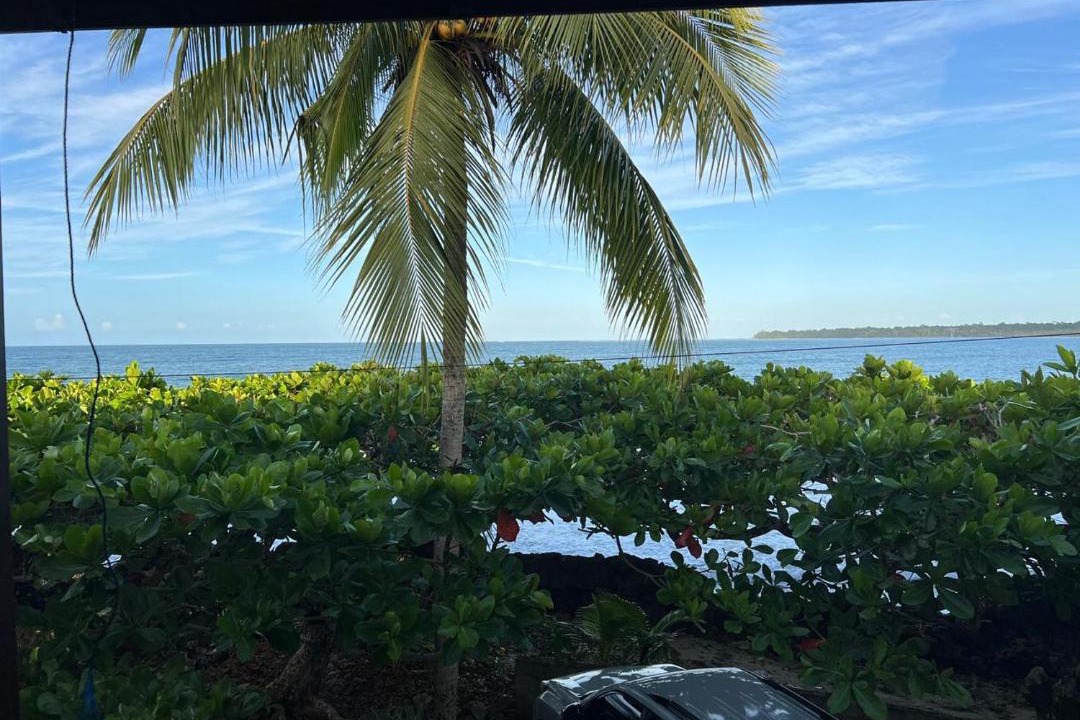 Photo of Others in Cahuita