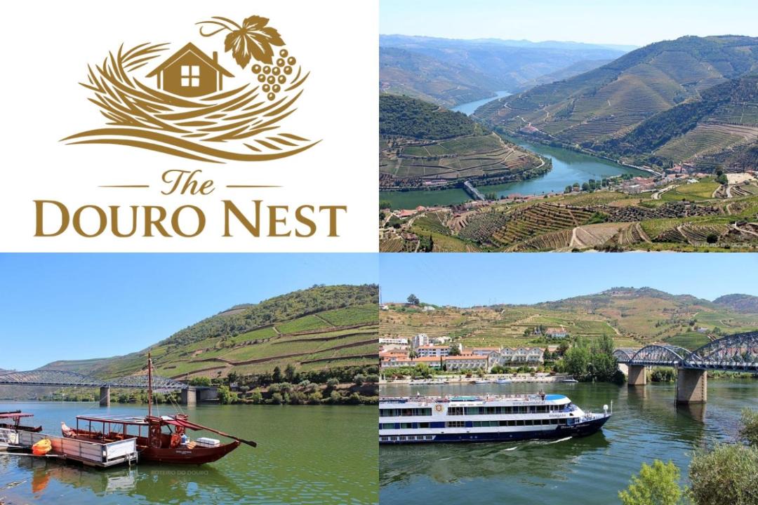 Photo of Others in Valenca do Douro