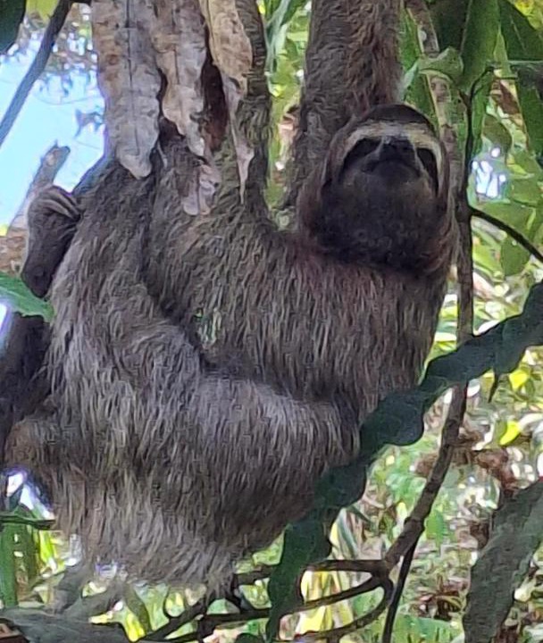 Photo of Others in Drake Bay