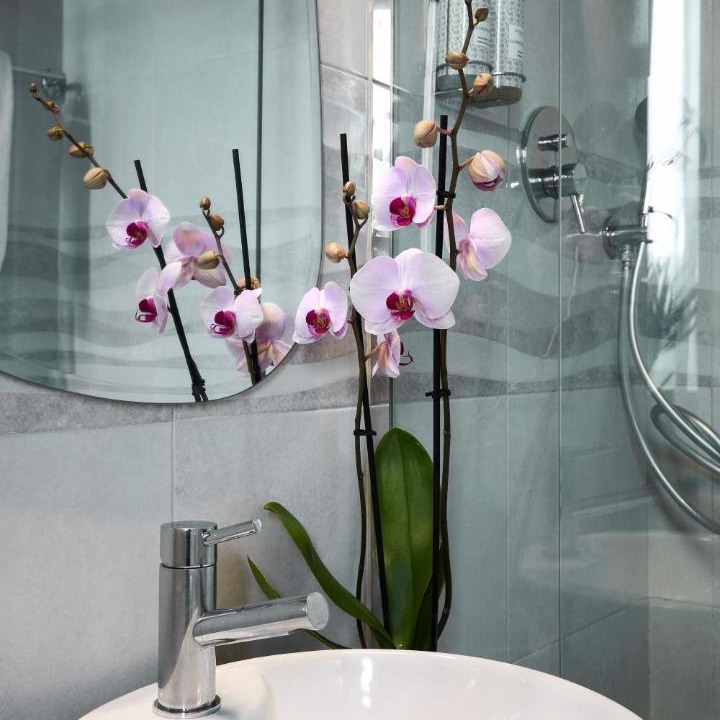 Photo of Bathroom in Estoril