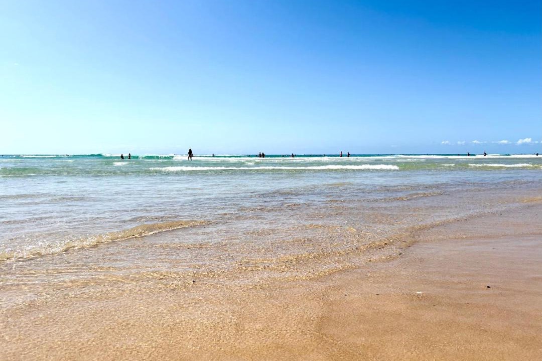 Photo of Others in Mermaid Beach