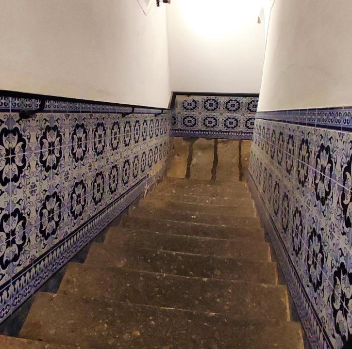 Photo of Others in Evora
