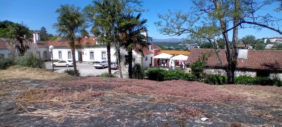Photo of Others in Viseu