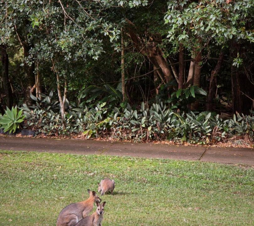 Photo of Others in Nerang