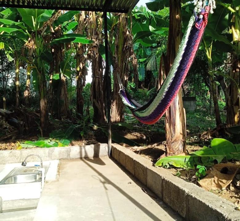 Photo of Others in Moyogalpa