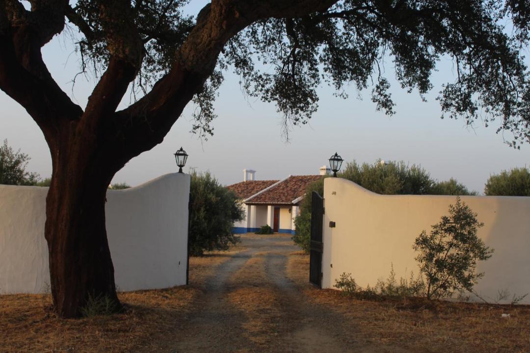 Photo of Others in Reguengos de Monsaraz