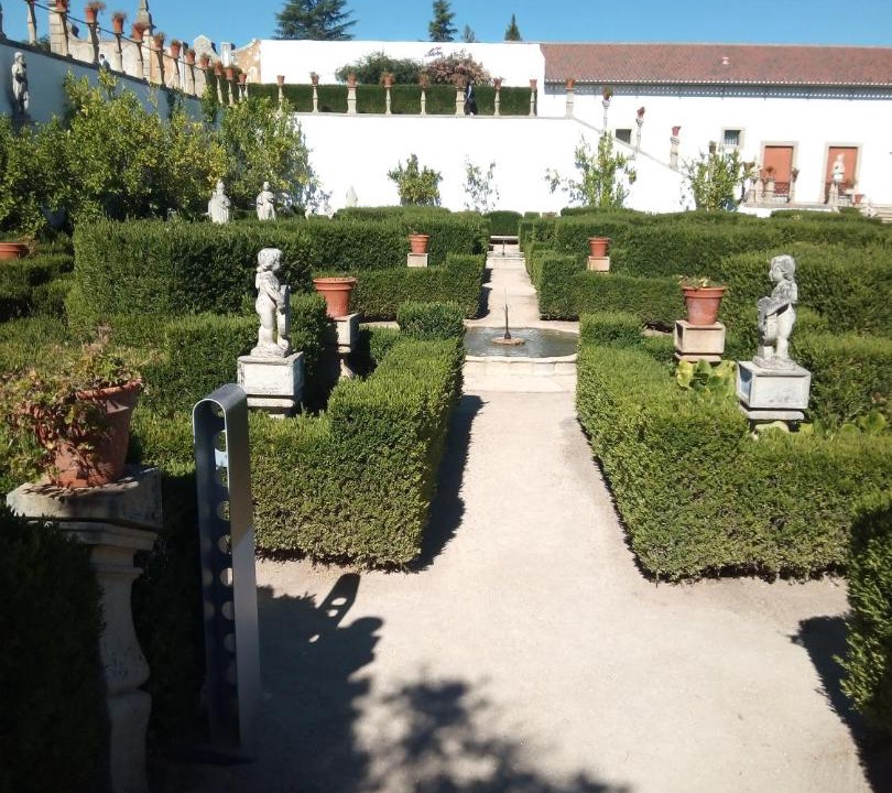 Photo of Others in Castelo Branco