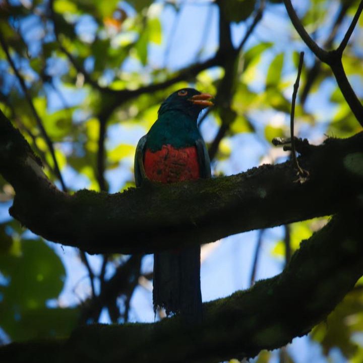 Photo of Others in Punta Uva