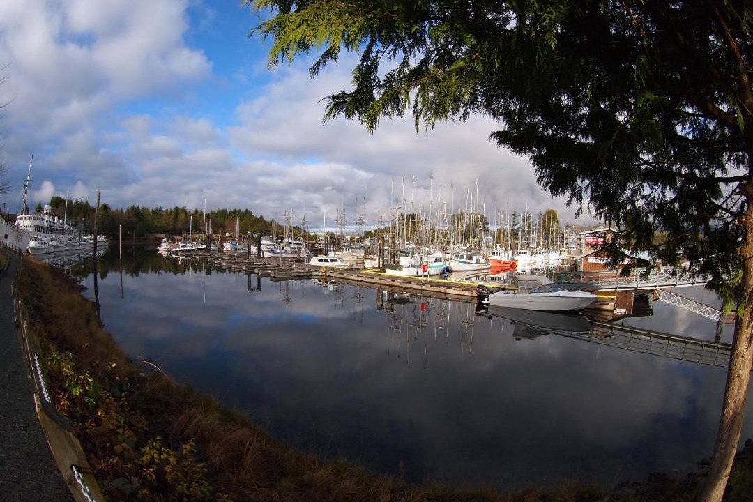 Photo of Others in Ucluelet