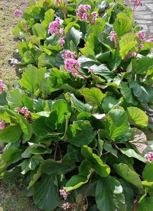 Photo of Outdoor in Santa Comba Dao