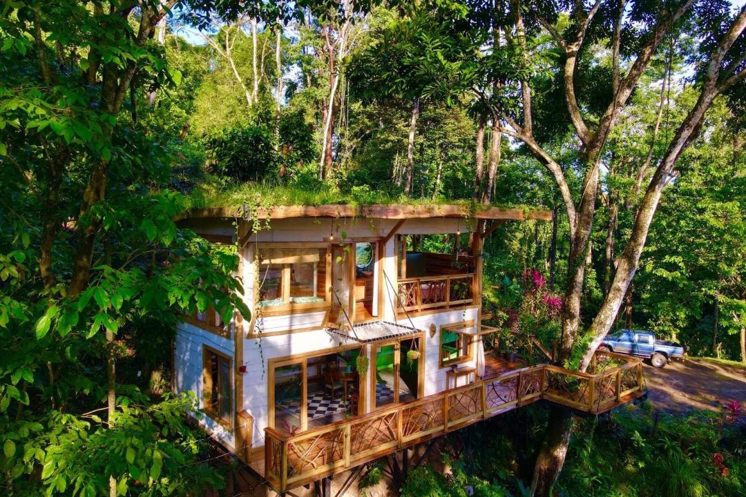 Photo of Others in Cahuita
