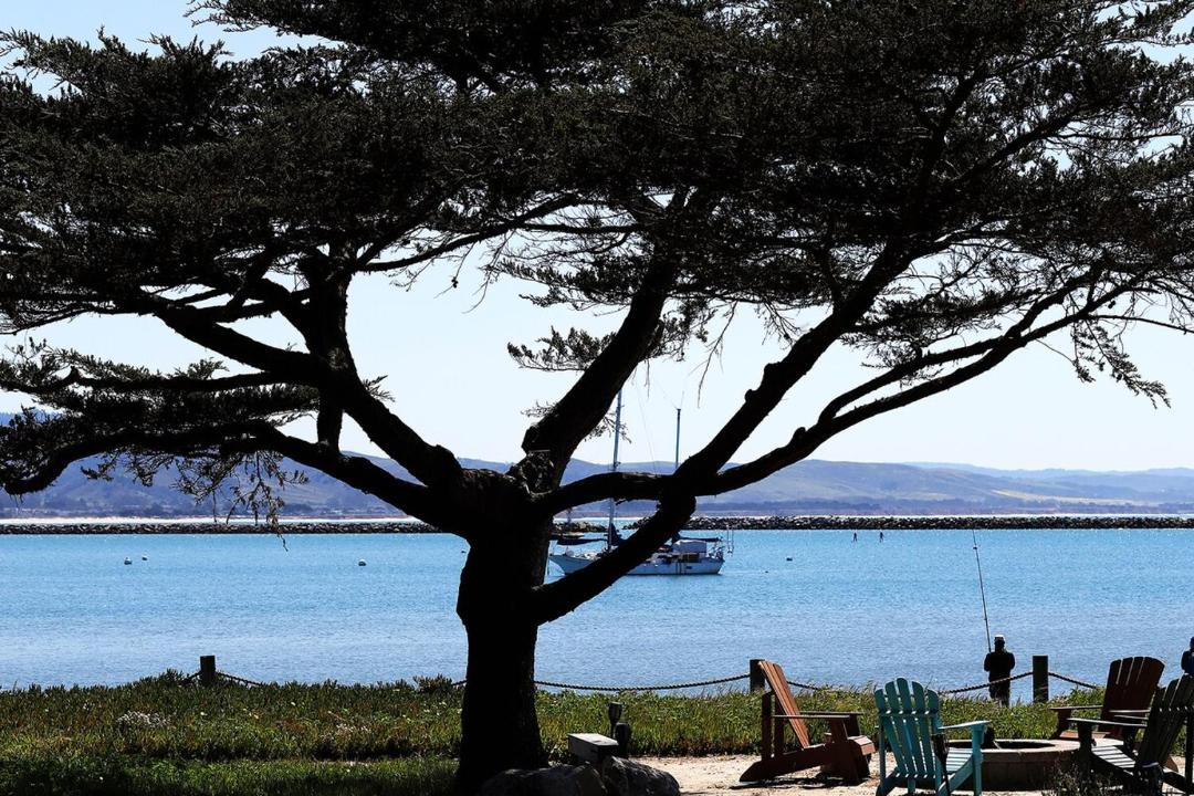Photo of Others in Half Moon Bay