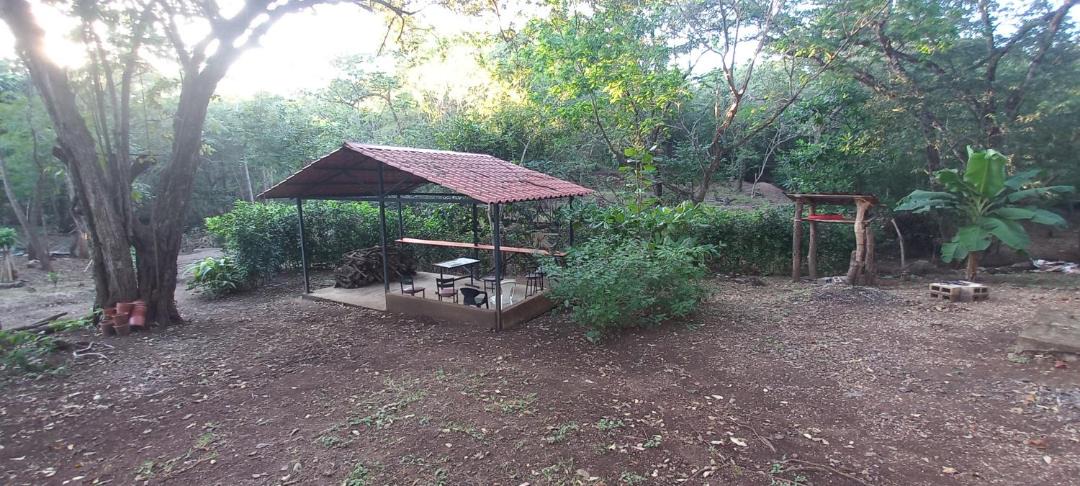 Photo of Others in Tamarindo