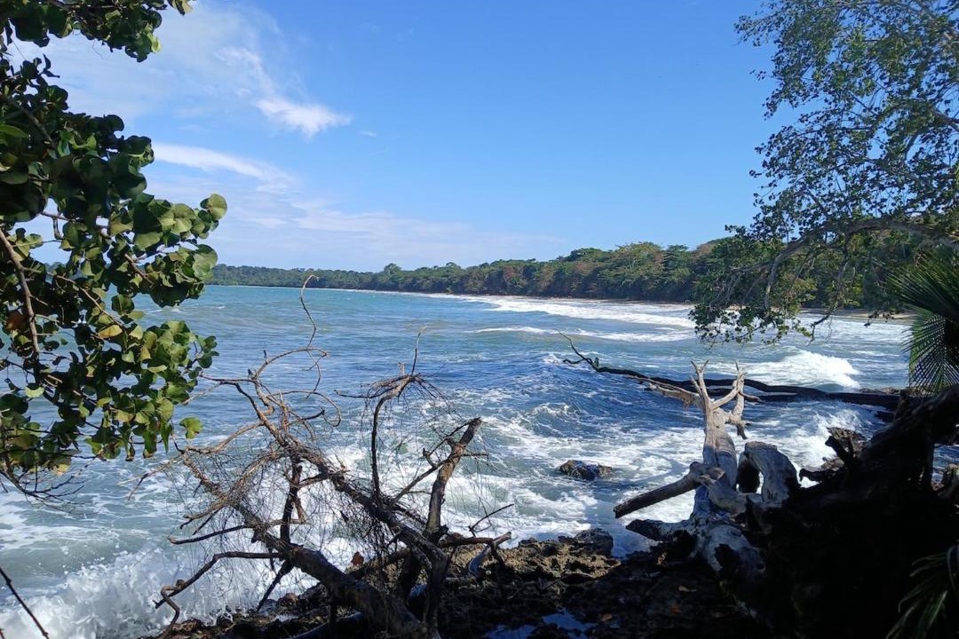 Photo of Others in Cahuita
