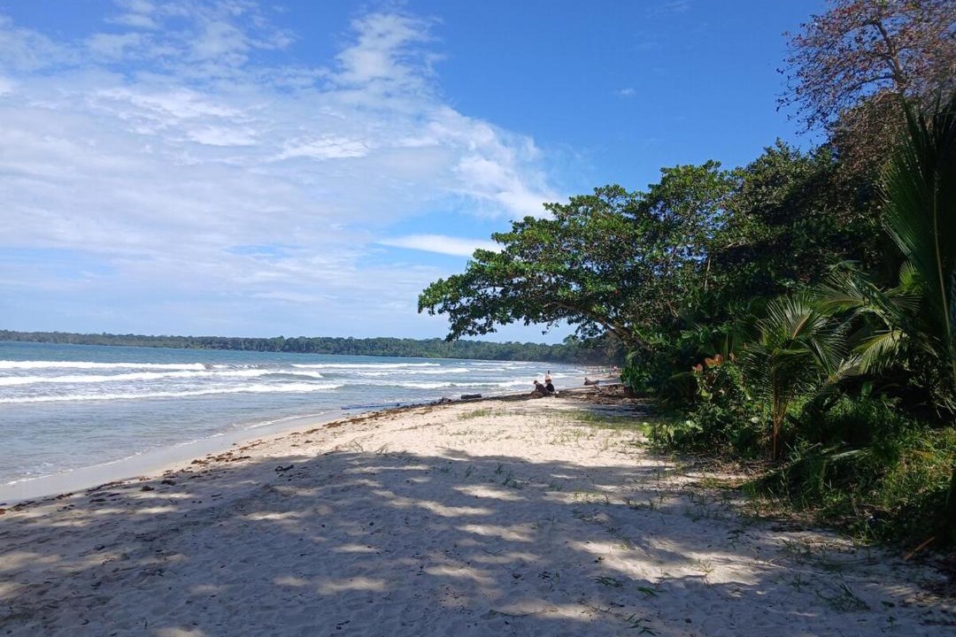 Photo of Others in Cahuita