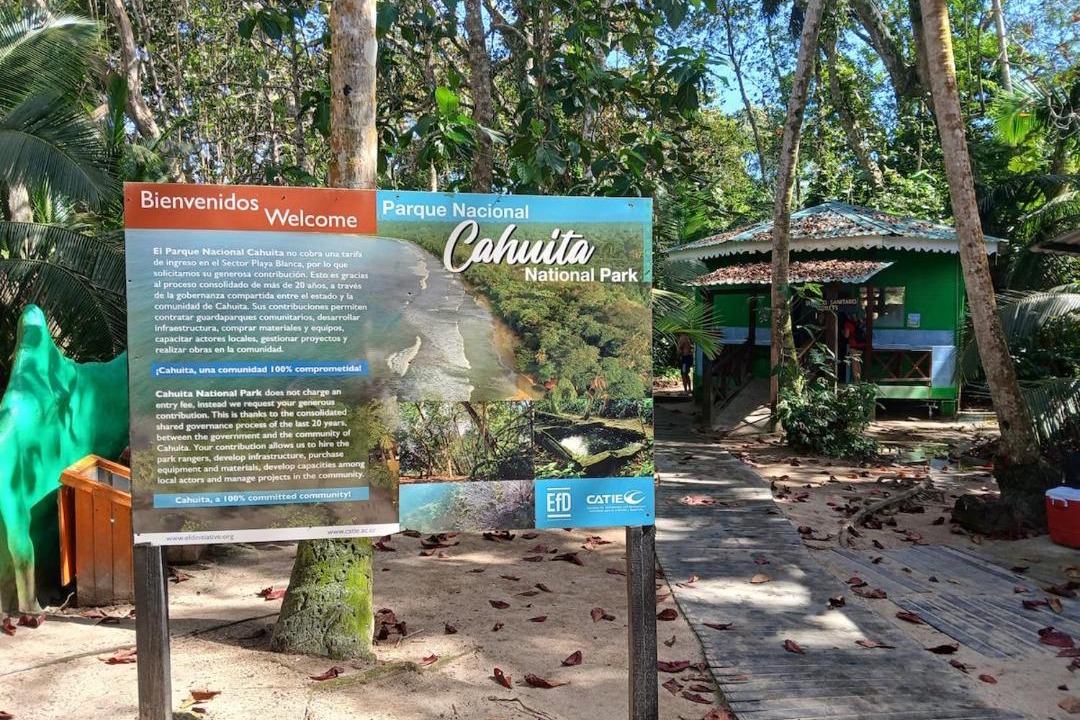 Photo of Others in Cahuita