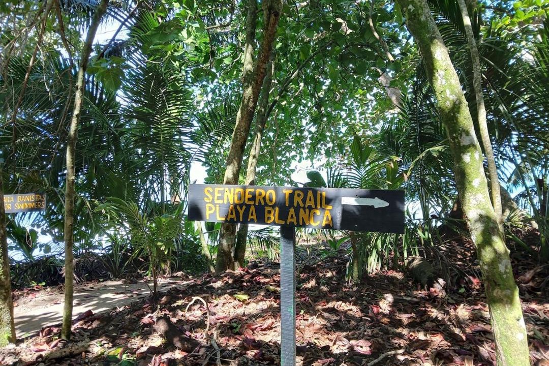 Photo of Others in Cahuita