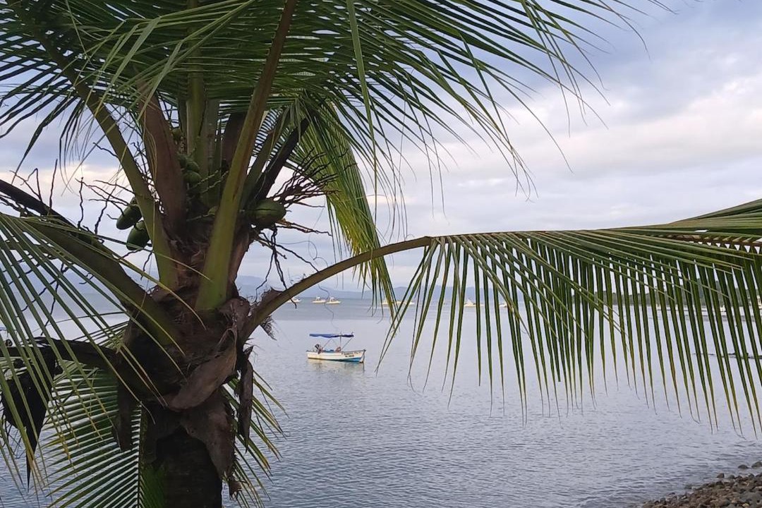 Photo of Others in Cahuita